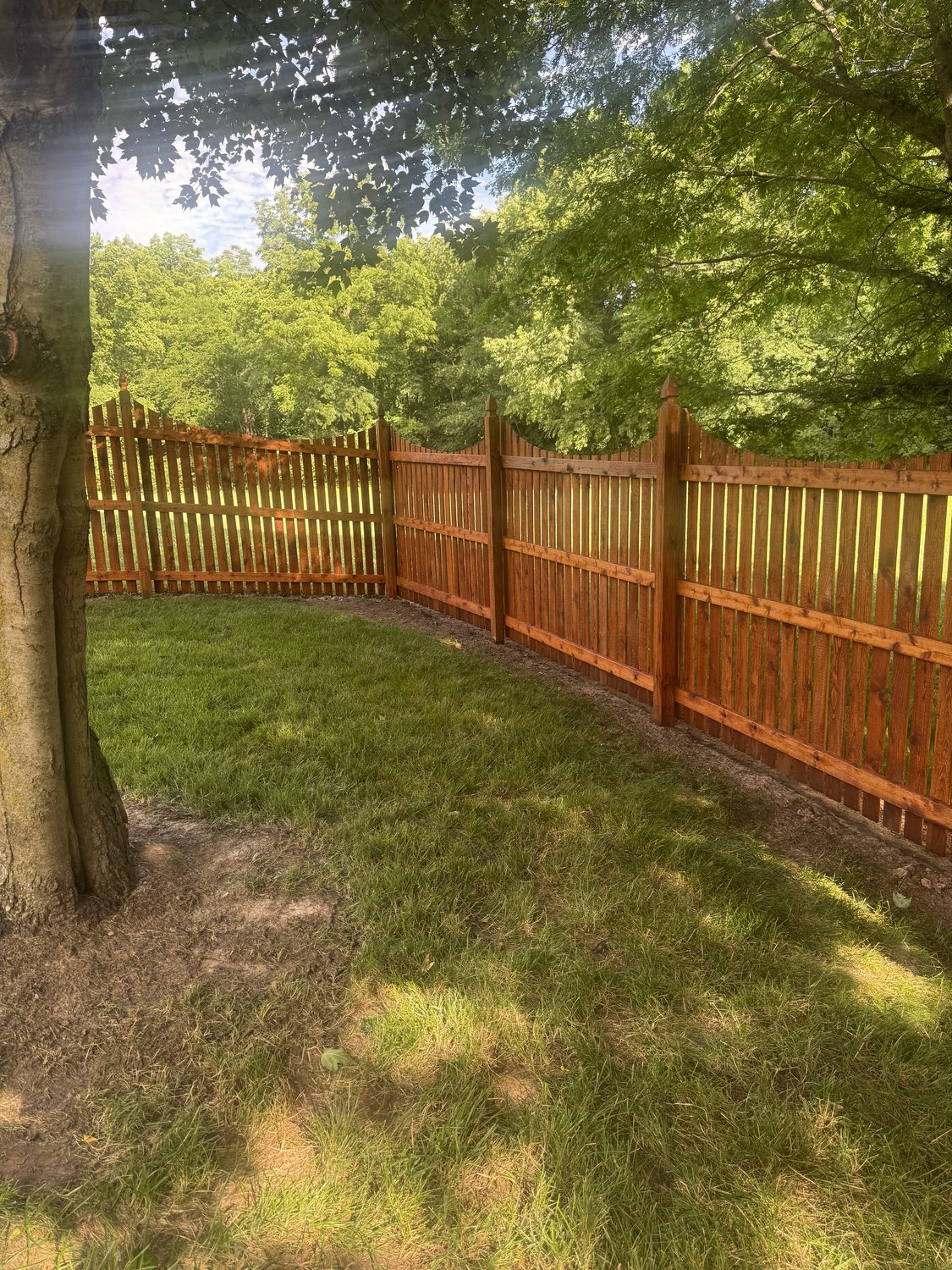 Privacy fence restored