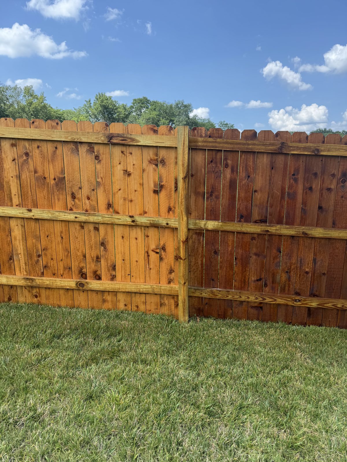 Cedar privacy fence, golden cedar stain, fences staining in Kansas City by Staining Grain