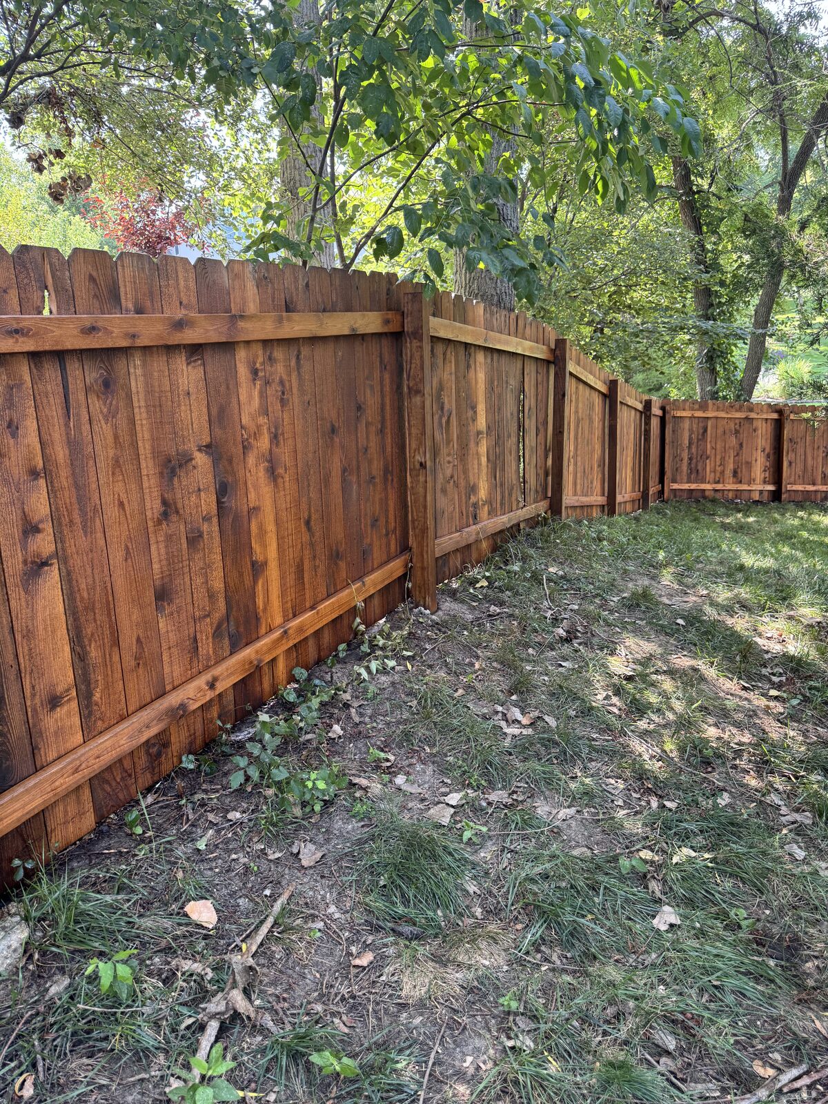 Privacy fence in rich brown